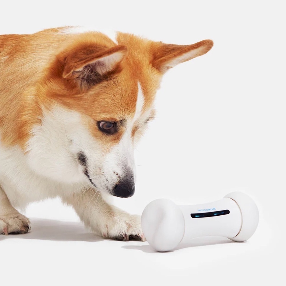 NWT Cheerble Wickedbone App Controlled Interactive/Self Play Dog Bone Toy. - Picture 3 of 8